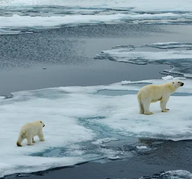 Guerbet makes the CDP A- grade for its commitment to the fight against global warming
