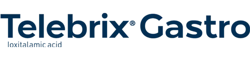 Logo Telebrix Gastro